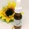 Overhead view of Nature’s Retinol Face Oil with dropper inside the bottle. Minimalist background and natural lighting.