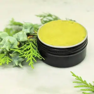 Organic Boo Boo Salve in a tin with the lid off, showing the smooth texture of the balm surrounded by pine branches.