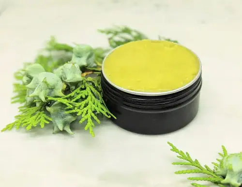 Organic Boo Boo Salve in a tin with the lid off, showing the smooth texture of the balm surrounded by pine branches.