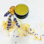 Organic Bug Bite Salve – Natural Relief for Itchy, Irritated Skin