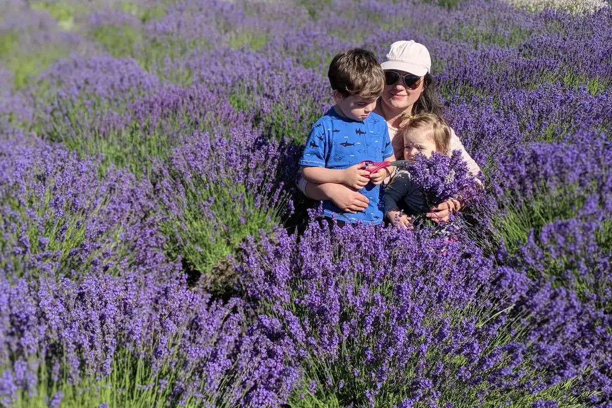 Olive Plus Sage founder with her children in a blooming lavender field